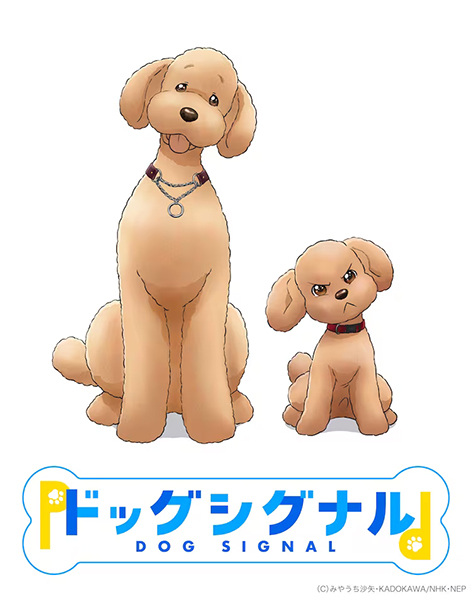 DOG SIGNAL สัญญาหมา ซับไทย